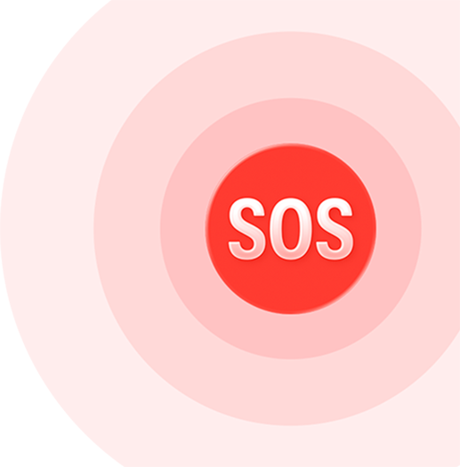 Emergency SOS icon